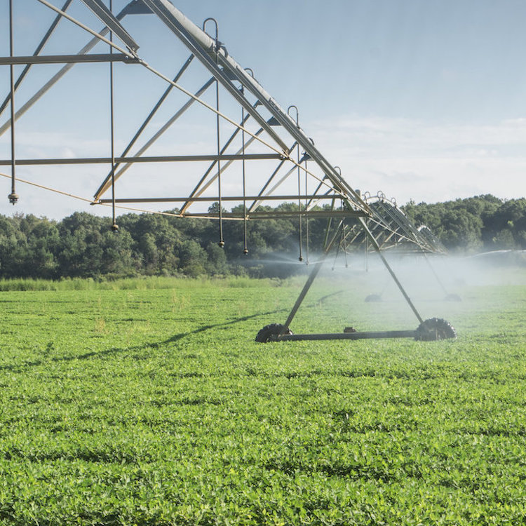 UGA teaching farmers to save water by scheduling irrigation